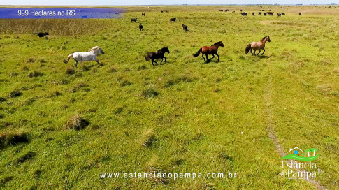 12. Levanta Velho.00_03_27_20.Quadro049_80ed24bb74de5a4d581ef5c75b4569e2373d12ed.jpg